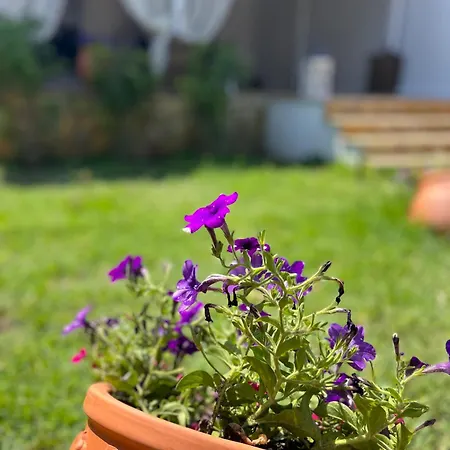 펜션 Seaside Modern House