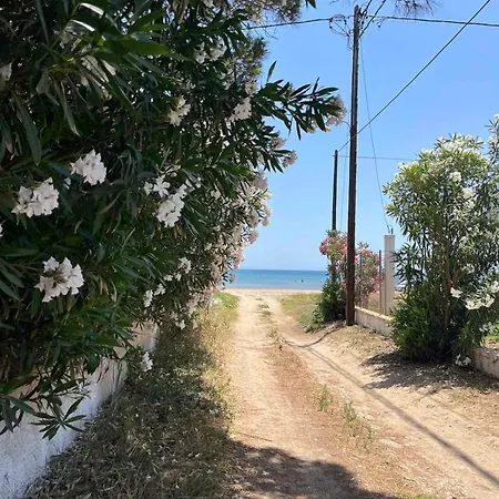 Seaside Modern House 펜션