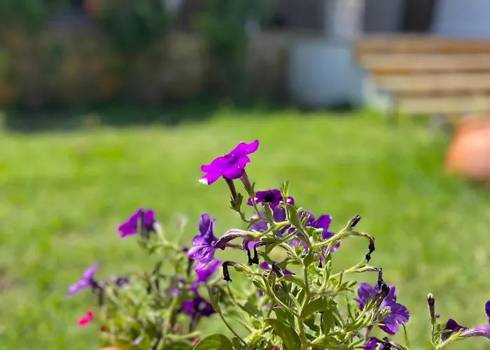 Casa de Férias Seaside Modern House